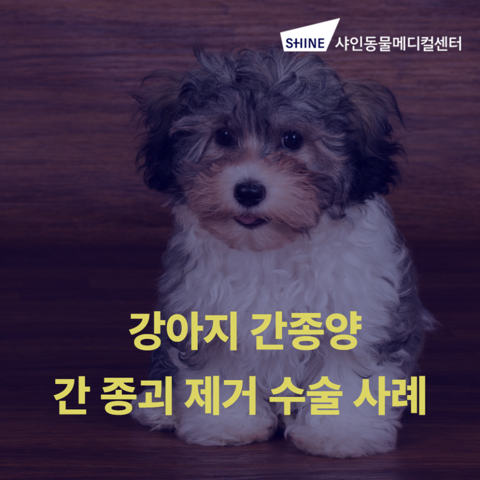news_image