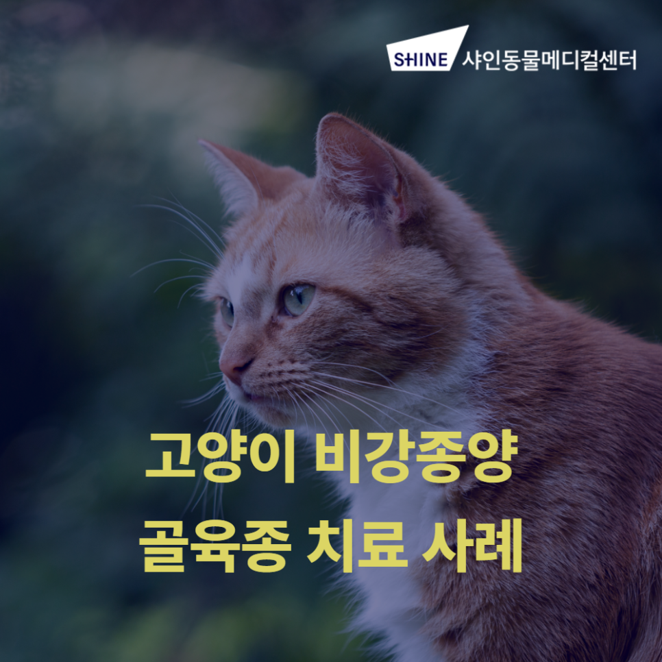 news_image