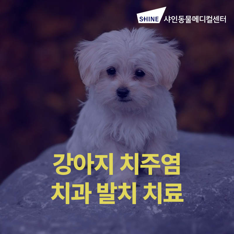news_image