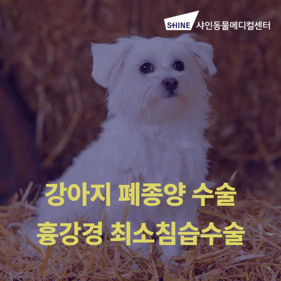 news_image